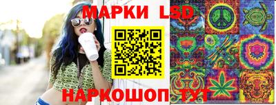 трава Кандалакша