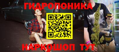трава Кандалакша