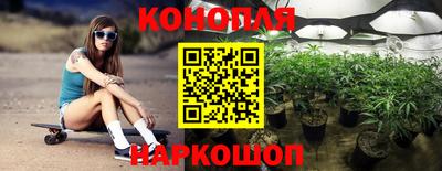 твердый Камышлов